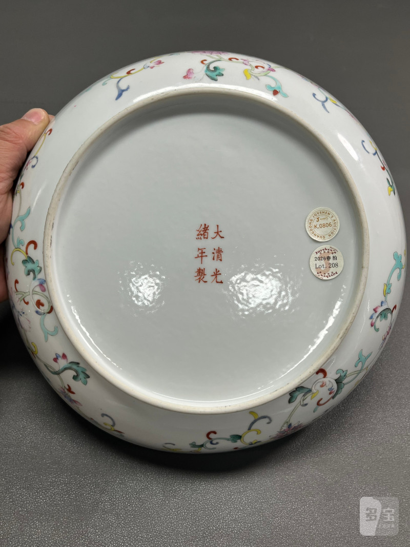 清光绪  粉彩莲池纹盘 - 图14